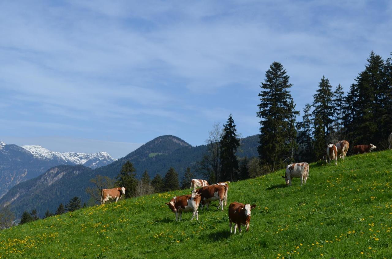 Apart Timeout Hart im Zillertal Zewnętrze zdjęcie