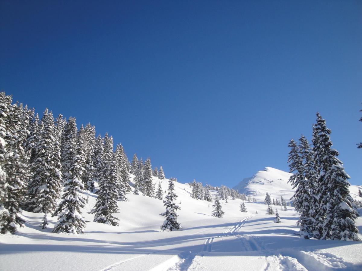 Apart Timeout Hart im Zillertal Zewnętrze zdjęcie